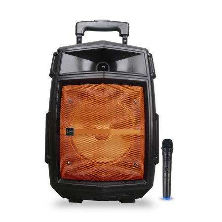 8120 - Parlante Triangle BASS Orange